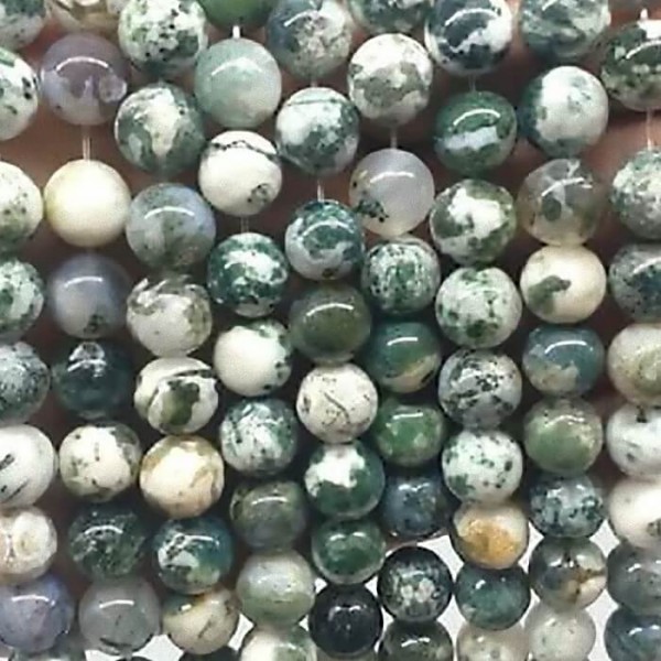 Tree Agate 10mm natural stone beads 38-40cm strand