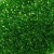 Preciosa 11/0 Transparent Grass Green SH 25g