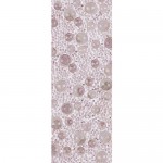 89803 Crystal Galuchat 72x28mm Transparent/Crystal Antique Pink (010/001 ANTP) (x1)