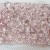 89803 Crystal Galuchat 72x28mm Transparent/Crystal Antique Pink (010/001 ANTP) (x1)