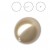 Half Drilled Crystal Bronze Pearl 8mm (001 295) (x1)