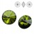 SWAROVSKI Rivoli 14mm Olivine F (x1)