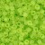 15/0 Toho Transparent-Fr Lime Green 10g