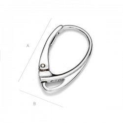 Sterling silver Leverback w/ loop (x2)