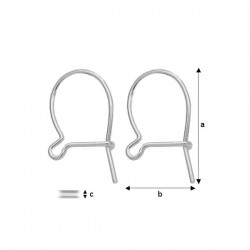 Sudraba auskaru āķis (x2)