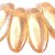 5x12mm Luster-Transparent Champagne (x20)