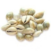 Shell & Mother of Pearl