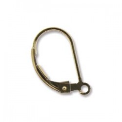 14K Goldfilled Leverback with ring (x2)