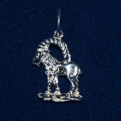 Sterling silver zodic pendants